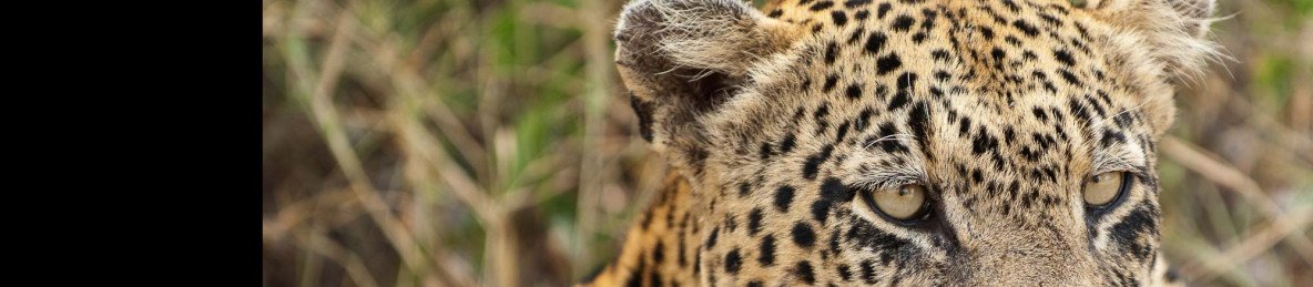 7-Day South Africa Luxury Tour