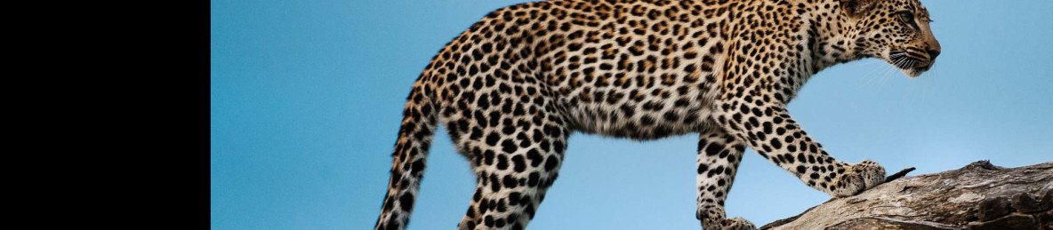 5-Day Kruger National Park Budget Camping Safari
