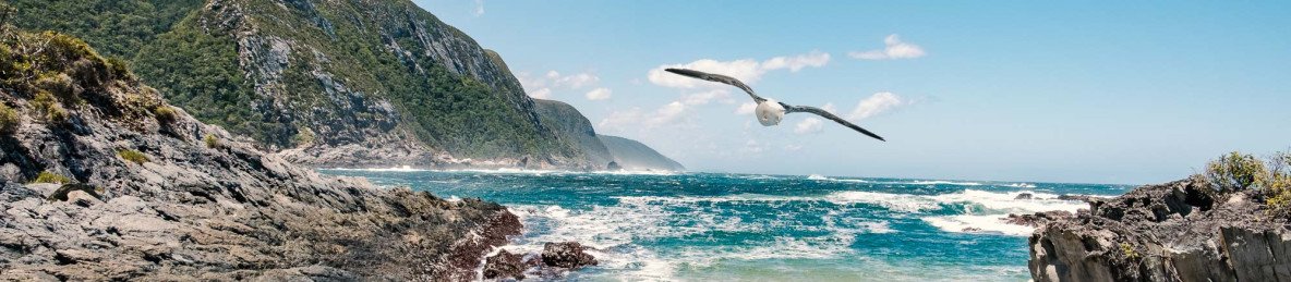 5-Day Luxury Garden Route & Addo Group Tour