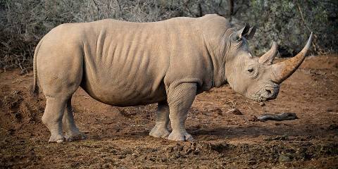 Budget camping Inside Kruger NP – Day 1: Dinner Included – Day 2: Breakfast & Dinner Included – Day 3: Dinner Included