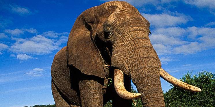 10-Day Affordable - Cape Town, Kruger & Victoria Falls