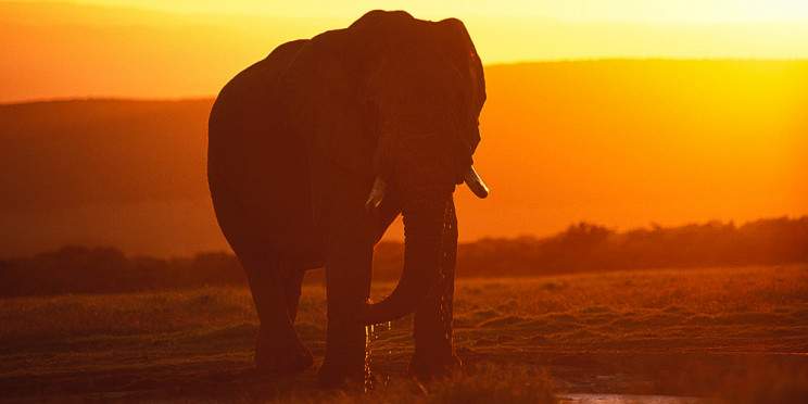 3-Day Budget Friendly Crocodile River Kruger Park Safari