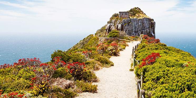 4-Day Cape Town Essentials Tour