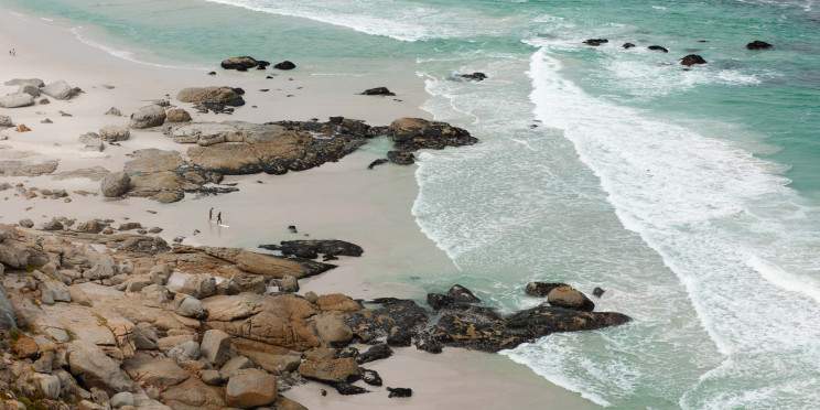 2-Day Cape Peninsula & Wine Country Tour