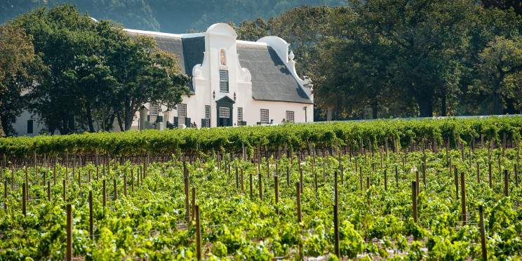 ½-Day Cape Winelands Discovery Tour