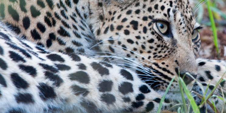 9-Day Luxury Cape Town, Kruger NP and Victoria Falls
