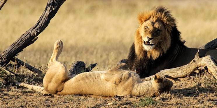8-Day Kalahari Guided Self-Drive Budget Camping Tour