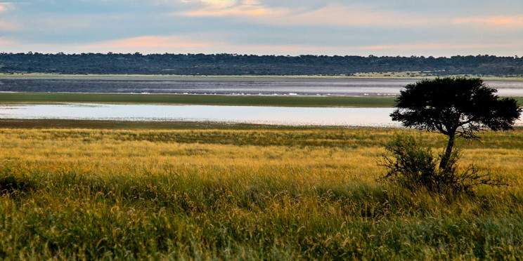 11-Day Cape Town & Kruger Cycle Tour - Adventure Safari
