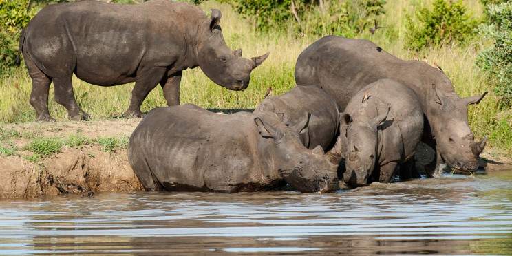 4-Day Dumela Budget Camping Tour Fly-in Cape Town