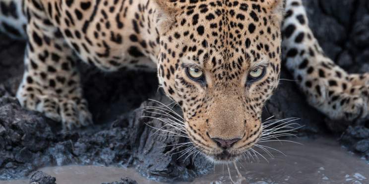 4-Day Classic Kruger Safari