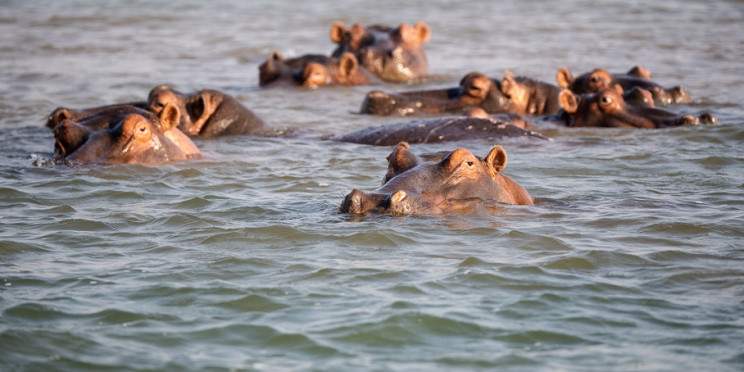 5-Day Kruger Adventure Safari