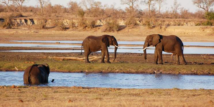 5-Day Big Five Camping Safari with Panorama Highlights
