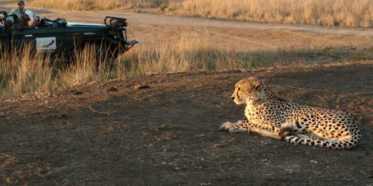 3-Day Sabi Sands Tented Safari