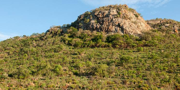 2-Day Pilanesberg Safari from Johannesburg