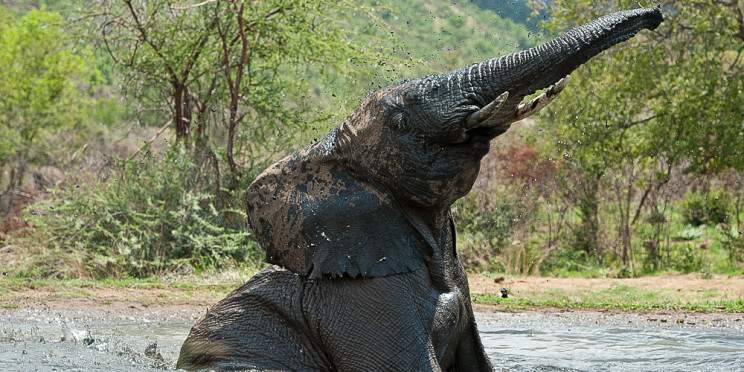 3-Day Pilanesberg Safari Adventure