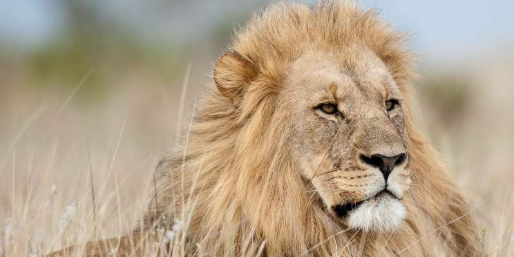 9-Day Signature South Africa Tour