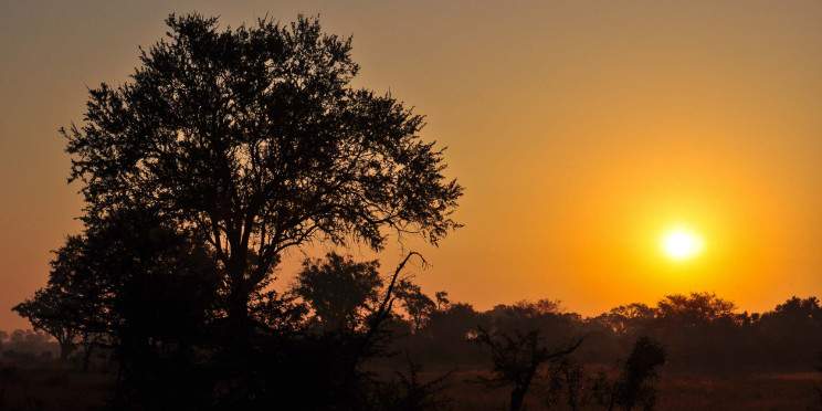 5-Day Safari with Night Drive and Panorama Route Tour