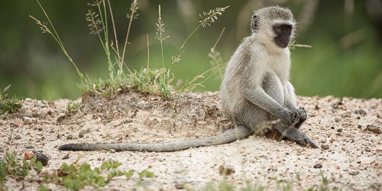 10-Day Journey Through Southern Africa