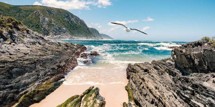 5-Day Luxury Garden Route & Addo Group Tour