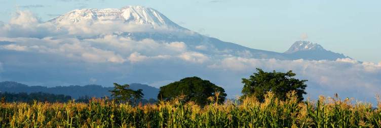 Sunrise Game Drive in Amboseli & Transfer to Arusha via Namanga Border