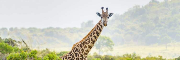 Ngorongoro to Arusha