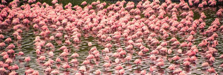 Arusha National Park
