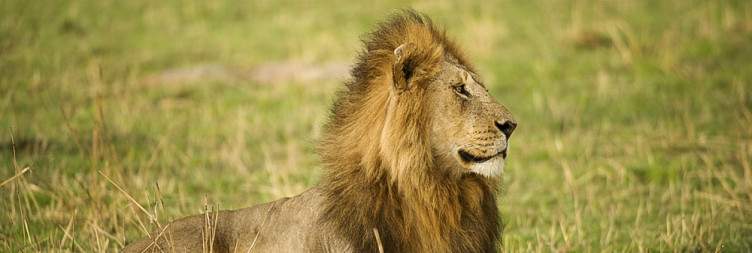 Central Serengeti National Park