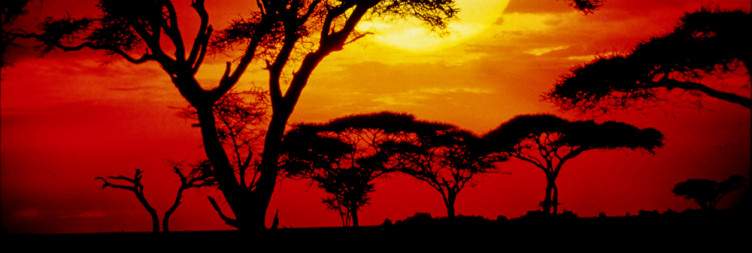 Game Drive in Serengeti National Park, Night in Karatu