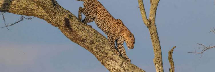 Mwanza to Serengeti National Park