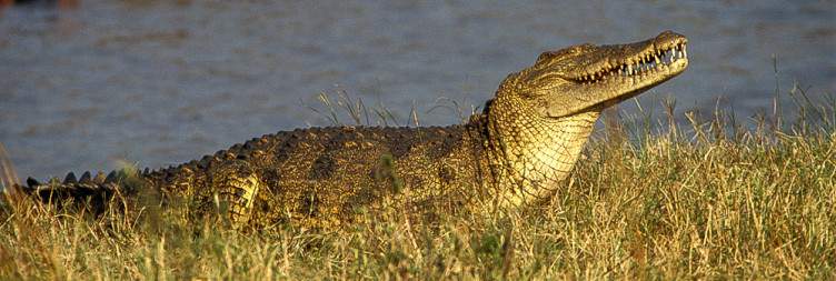 Katavi National Park