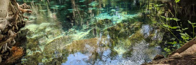 Kilimanjaro Waterfalls, Coffee Tour & Hot Springs Escape