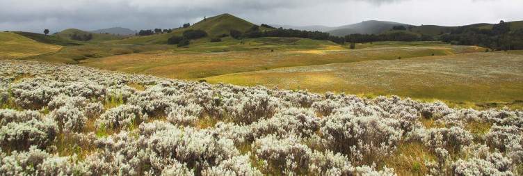Mpanga Kipengere - Kitulo National Park