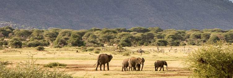Arusha - Lake Manyara National Park