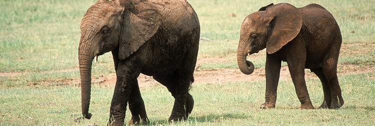 Lake Manyara National Park