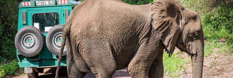 Lake Manyara National Park to Arusha then fly to Zanzibar