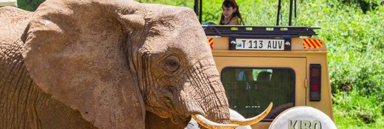 Lake Manyara National Park