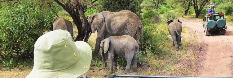 Lake Manyara National Park