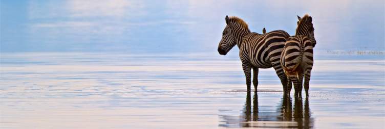Lake Manyara to Arusha