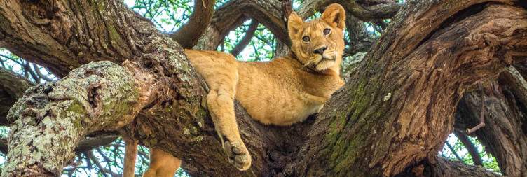 Lake Manyara national park to Arusha