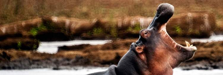 Ngorongoro Crater and Lake Manyara