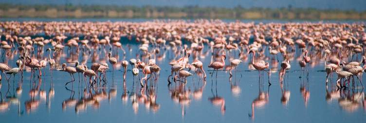 Lake Natron
