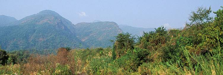 Descent to Park Headquarters – Transfer to Kasiha Bandas