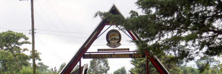 Arusha to Marangu Gate