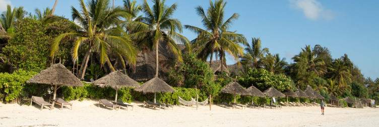 Arrival in Paradise
