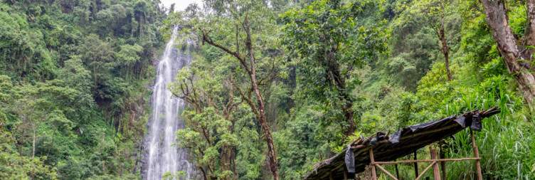 Hike to Materuni Waterfalls