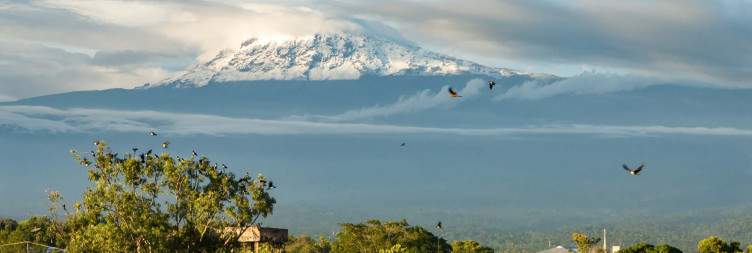 Arrival in Moshi – Pre-Trekking Briefing & Relaxation