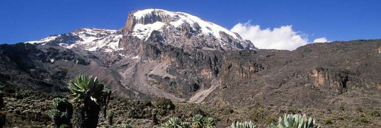Rongai Gate (1950m) – 1st Caves Camp (2600m) Hiking time: 5 hours