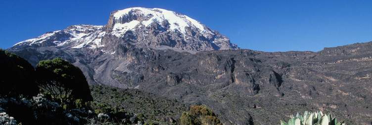 Simba Camp (2626m) – Kikelewa Camp (3679m)