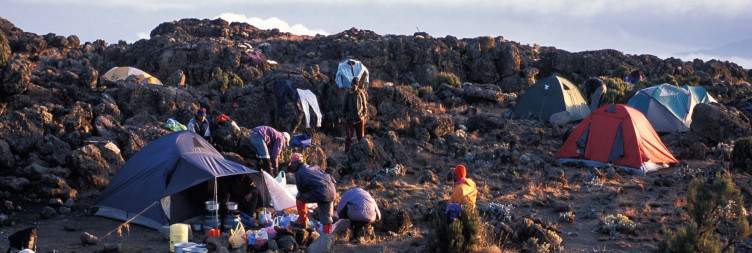 Horombo Hut (3720m) – Marangu Gate (1980m) Hiking time: 6 hours