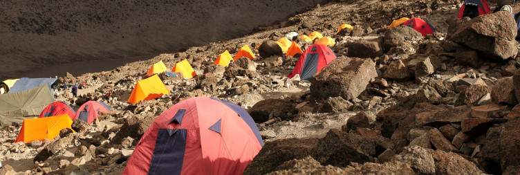 Mti Mkubwa (2700m) – Shira Camp 1 (3500m)